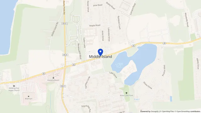 Mapa que muestra la ubicación de Lake View en 63 Oak Crest Avenue, Middle Island, NY 11953 — DachiPlus ofrece transporte médico aquí.