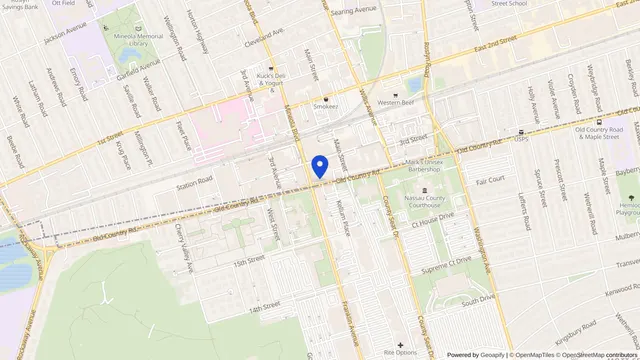 Mapa que muestra la ubicación de NYU Langone Dialysis Center—Mineola en 200 Old Country Rd, Mineola, NY 11501 — DachiPlus ofrece transporte médico aquí.