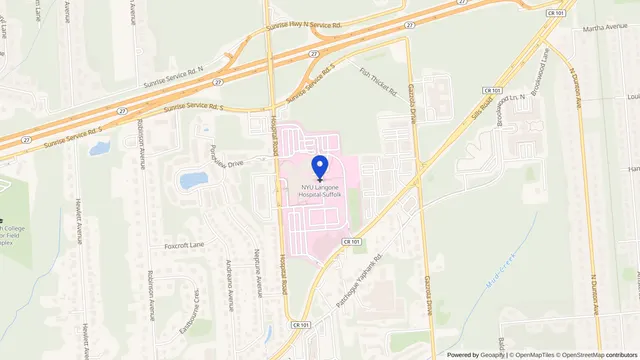 Mapa que muestra la ubicación de NYU Langone Hospital—Suffolk Dialysis Center en 101 Hospital Rd, East Patchogue, NY 11772 — DachiPlus ofrece transporte médico aquí.