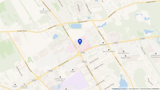 Mapa que muestra la ubicación de Peconic Bay Skilled Nursing Facility en 1300 Roanoke Avenue, Riverhead, NY 11901 — DachiPlus ofrece transporte médico aquí.