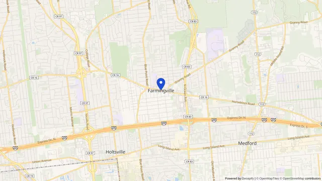 Mapa que muestra la ubicación de Farmingville en Farmingville, Condado de Suffolk, NY — DachiPlus ofrece transporte médico aquí.