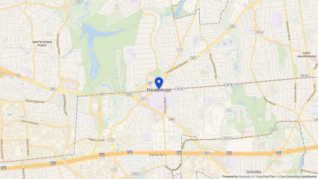 Mapa que muestra la ubicación de Hauppauge en Hauppauge, Condado de Suffolk, NY — DachiPlus ofrece transporte médico aquí.