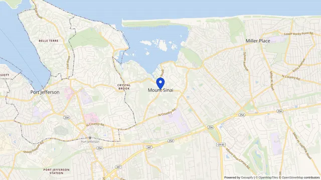 Mapa que muestra la ubicación de Mount Sinai en Mount Sinai, Condado de Suffolk, NY — DachiPlus ofrece transporte médico aquí.