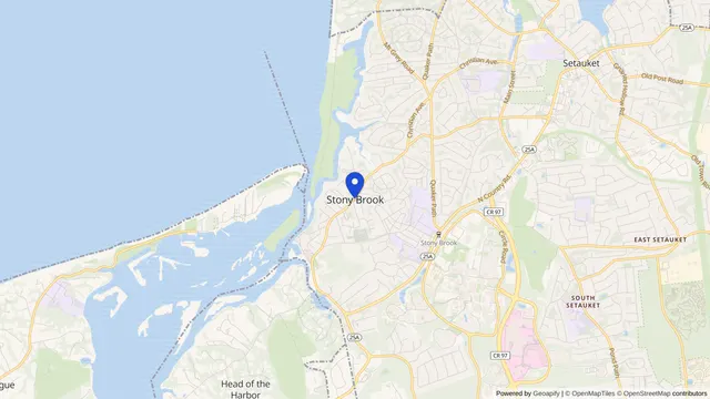 Mapa que muestra la ubicación de Stony Brook en Stony Brook, Condado de Suffolk, NY — DachiPlus ofrece transporte médico aquí.